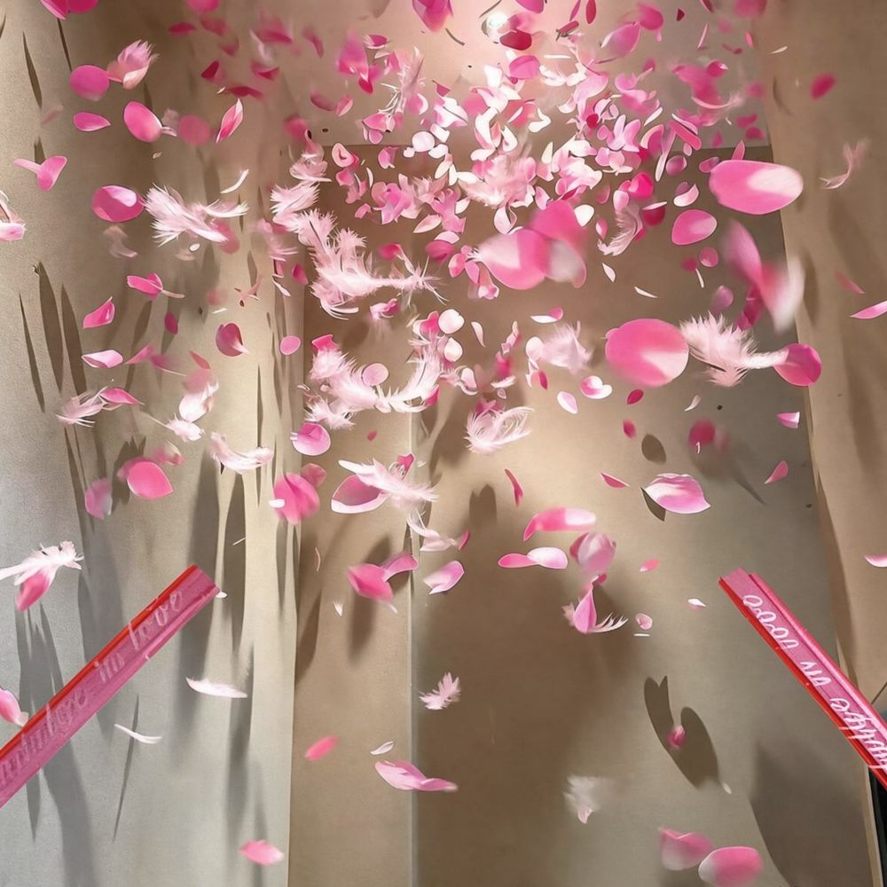 Confetti Cannon Handheld Weddi - Confetti Cannon Tube 评论和价格